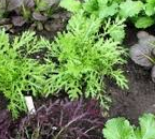 Schermafbeelding 2017-03-18 om 23.00.58