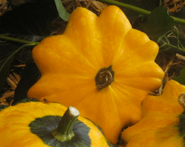 Schermafbeelding 2017-05-14 om 23.41.20